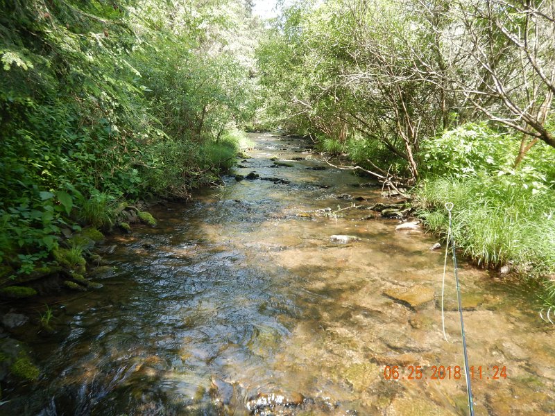 -Kettle Valley-112-.jpg